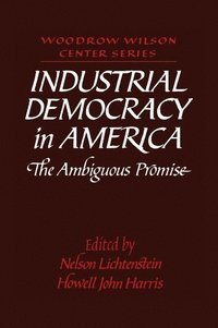 bokomslag Industrial Democracy in America
