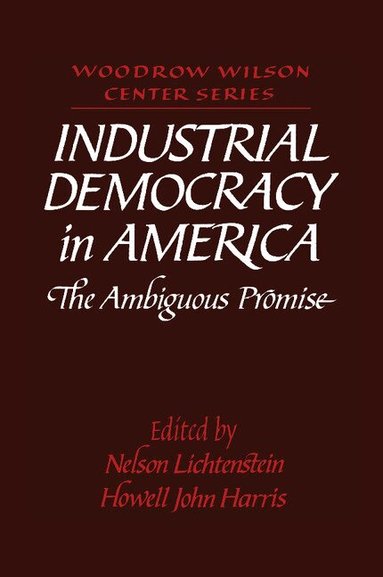Nelson Lichtenstein, Howell John Harris - Industrial Democracy in America, Häftad