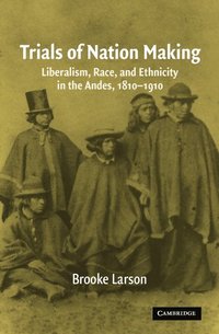 bokomslag Trials of Nation Making: Liberalism, Race, and Ethnicity in the Andes, 1810-1910