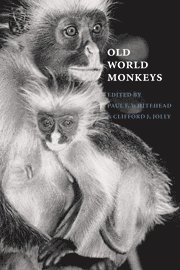 bokomslag Old World Monkeys