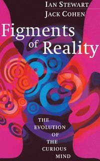 bokomslag Figments of Reality