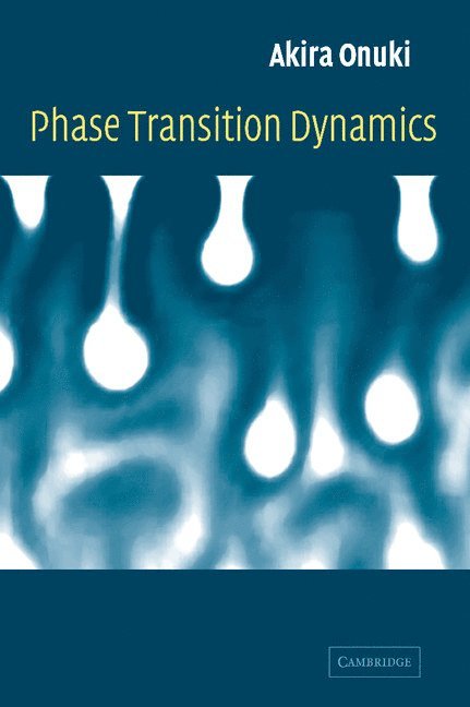 Phase Transition Dynamics 1