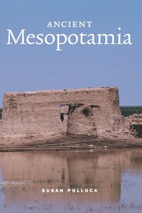 bokomslag Ancient Mesopotamia