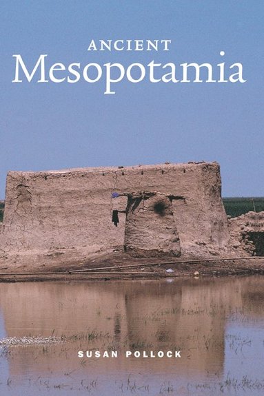bokomslag Ancient Mesopotamia