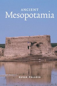 bokomslag Ancient Mesopotamia