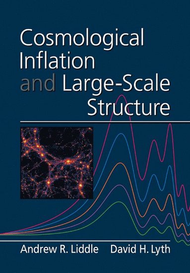 bokomslag Cosmological Inflation and Large-Scale Structure