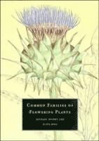 Common Families of Flowering Plants 1