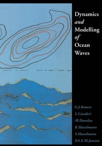 bokomslag Dynamics and Modelling of Ocean Waves