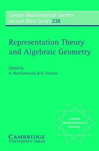 bokomslag Representation Theory and Algebraic Geometry
