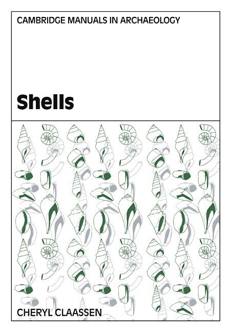 Shells 1