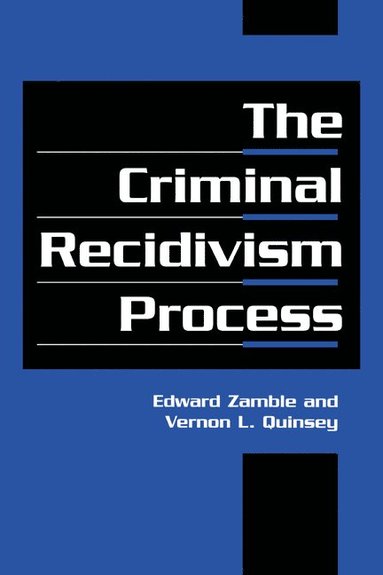 bokomslag The Criminal Recidivism Process