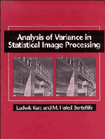 Ludwik Kurz, M. Hafed Benteftifa - Analysis of Variance in Statistical Image Processing, Inbunden