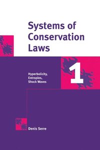 bokomslag Systems of Conservation Laws 1