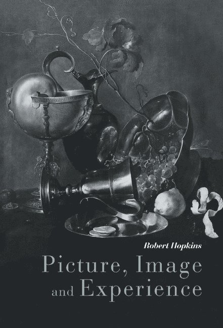 Robert (University of Birmingham) Hopkins, Robert Hopkins - Picture, Image and Experience, Inbunden