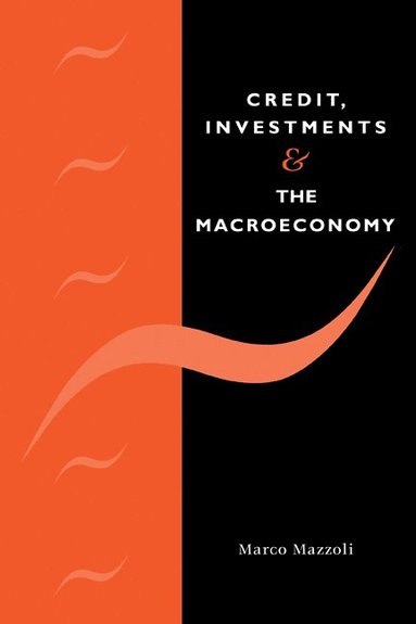 bokomslag Credit, Investments and the Macroeconomy