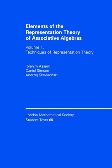 bokomslag Elements of the Representation Theory of Associative Algebras: Volume 1