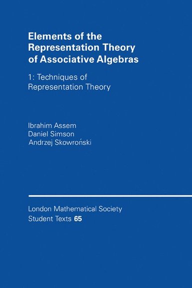 bokomslag Elements of the Representation Theory of Associative Algebras: Volume 1