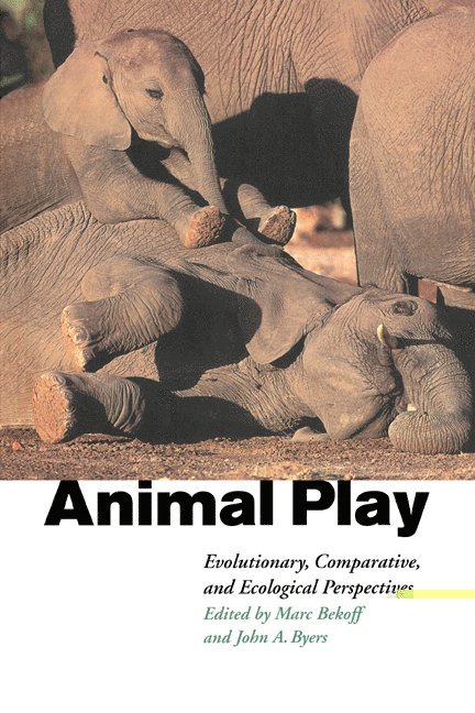 Animal Play 1