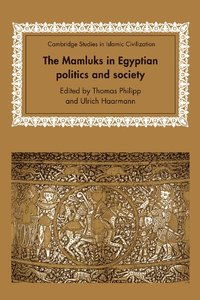 bokomslag The Mamluks in Egyptian Politics and Society