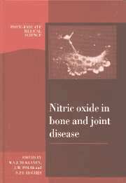Mika V. J. Hukkanen, Julia M. Polak, Sean P. F. Hughes - Nitric Oxide in Bone and Joint Disease, Inbunden