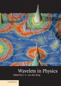 bokomslag Wavelets in Physics