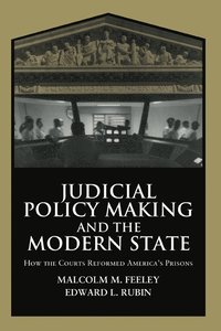bokomslag Judicial Policy Making and the Modern State