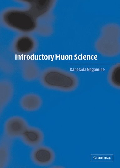 bokomslag Introductory Muon Science