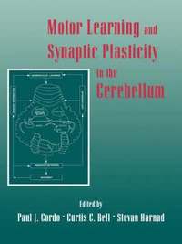 bokomslag Motor Learning and Synaptic Plasticity in the Cerebellum