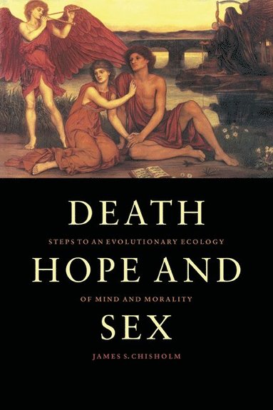 bokomslag Death, Hope and Sex