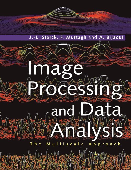 Image Processing and Data Analysis 1