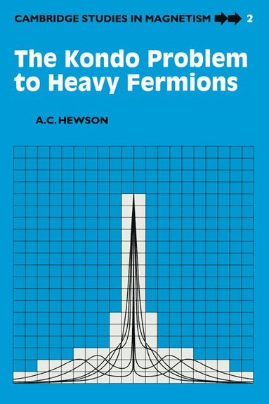 bokomslag The Kondo Problem to Heavy Fermions