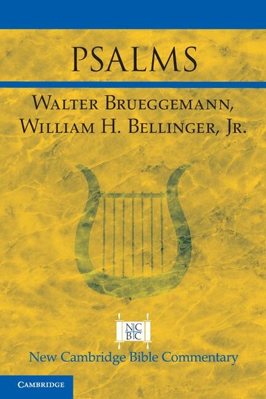 Walter Brueggemann, William H. Bellinger, Jr - Psalms, Häftad