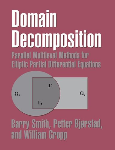 Barry Smith, Petter Bjorstad, William Gropp - Domain Decomposition, Häftad