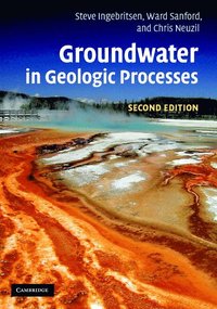 bokomslag Groundwater in Geologic Processes