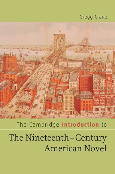 bokomslag Cambridge Introduction to The Nineteenth-Century American Novel