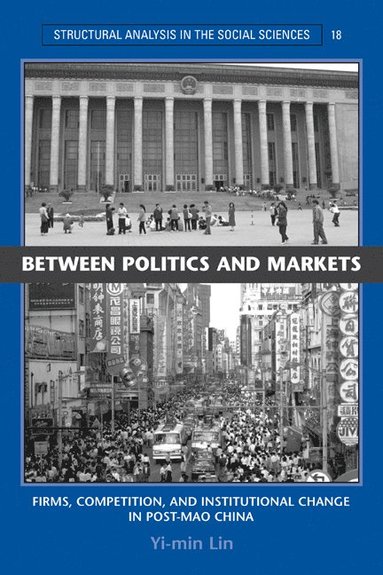 bokomslag Between Politics and Markets