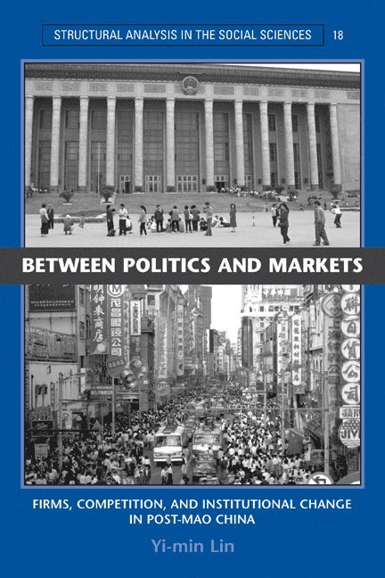 Between Politics and Markets 1