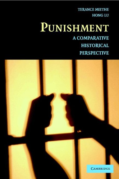 Terance D. Miethe, Hong Lu - Punishment, Häftad