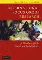 bokomslag International Focus Group Research