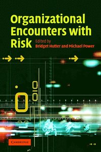 bokomslag Organizational Encounters with Risk