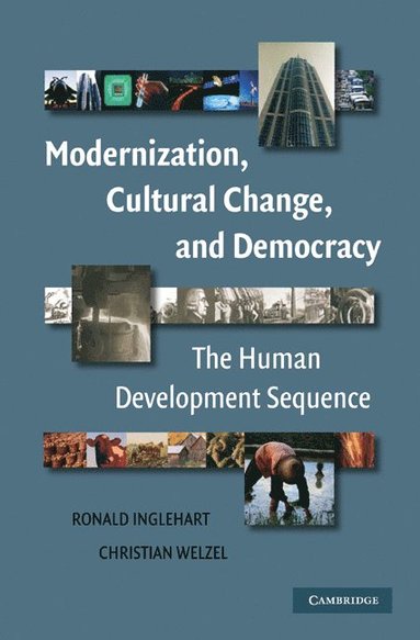 bokomslag Modernization, Cultural Change, and Democracy