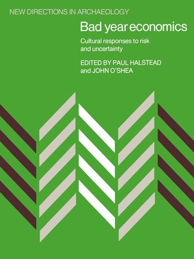 Paul Halstead, John O'Shea - Bad Year Economics, Häftad