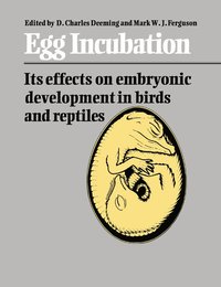 bokomslag Egg Incubation