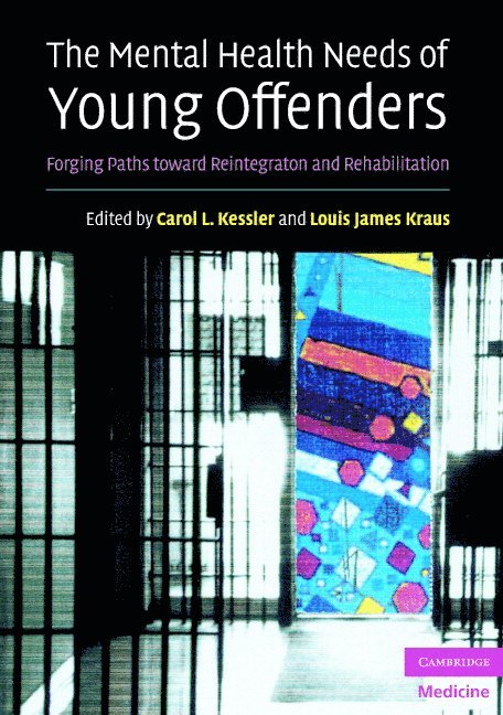 The Mental Health Needs of Young Offenders 1