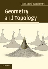 bokomslag Geometry and Topology