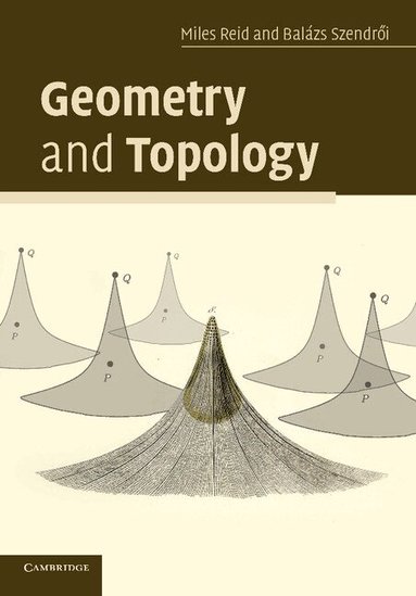 Miles Reid, Balazs Szendroi - Geometry and Topology, Häftad