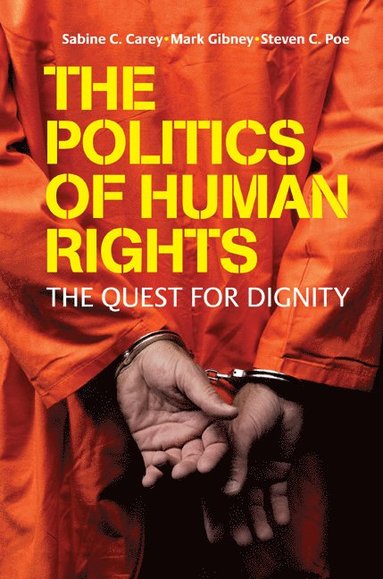 bokomslag The Politics of Human Rights