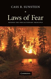 bokomslag Laws of Fear