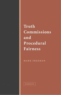 bokomslag Truth Commissions and Procedural Fairness