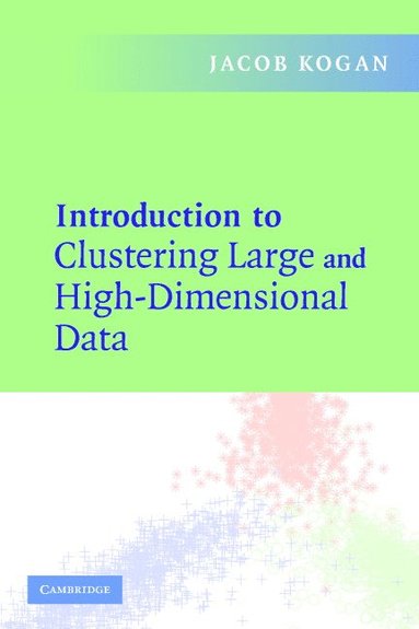 bokomslag Introduction to Clustering Large and High-Dimensional Data